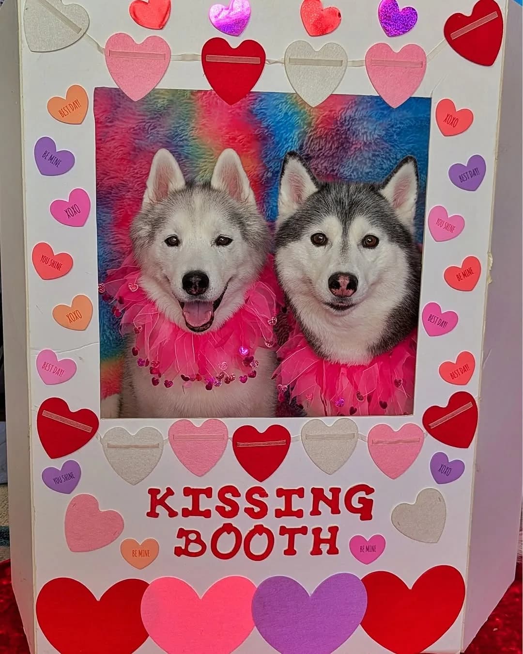 Yes, I know, Valentines day was a few days ago, but I just can't get over this photo of Memphis and Kira!  Look at Kira's face!  At first,  I thought I caught her mid smile, but then as I went back and looked at the 20 photos of this part of the photo shoot, her face is like that in every photo!  This is not a normal goofy Kira face, it's a different goofy Kira face! hahaha